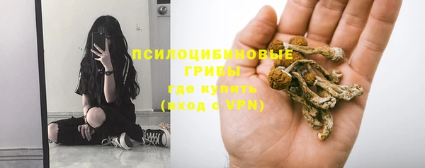 прущие крисы Алексеевка