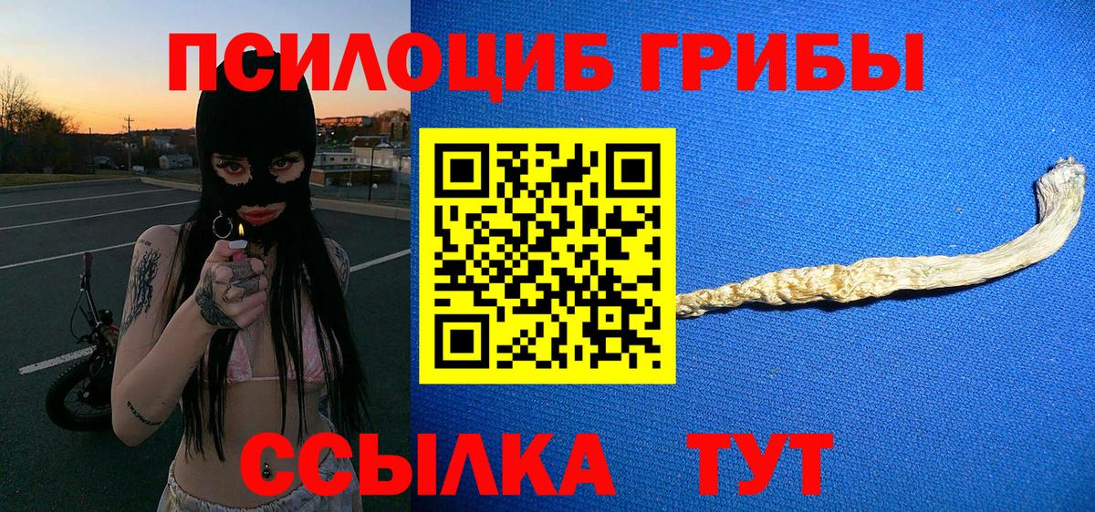 Серов  Псилоцибиновые грибы прущие грибы  где найти   Вход с VPN 