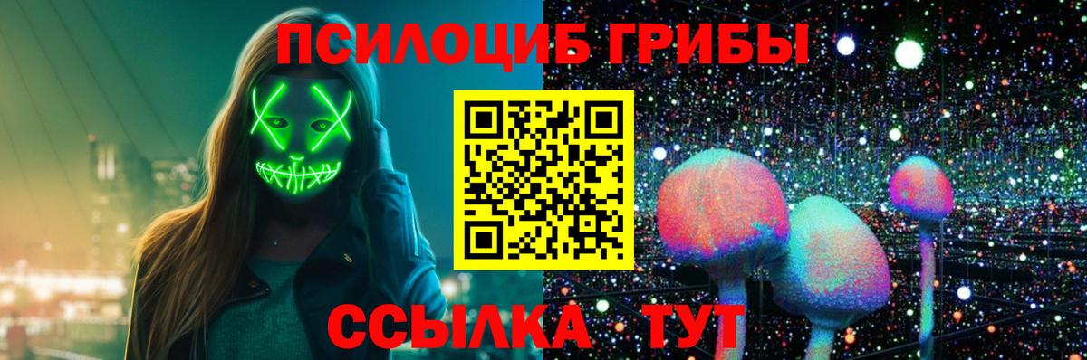Галлюциногенные грибы Psilocybine cubensis Серов